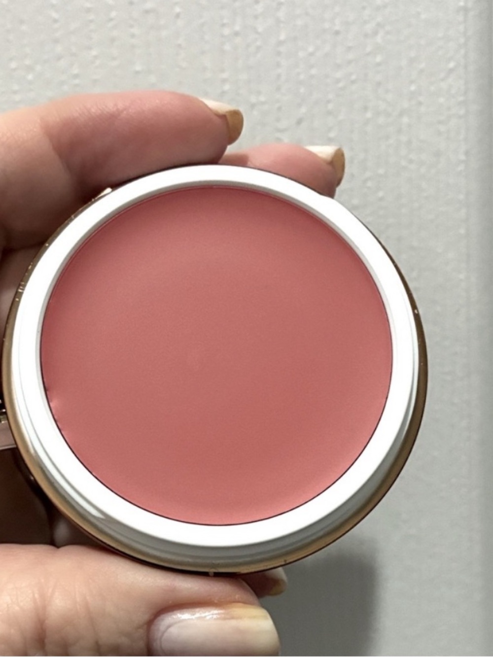 Danessa Myricks Beauty Cream Blush in Rose & Brunch